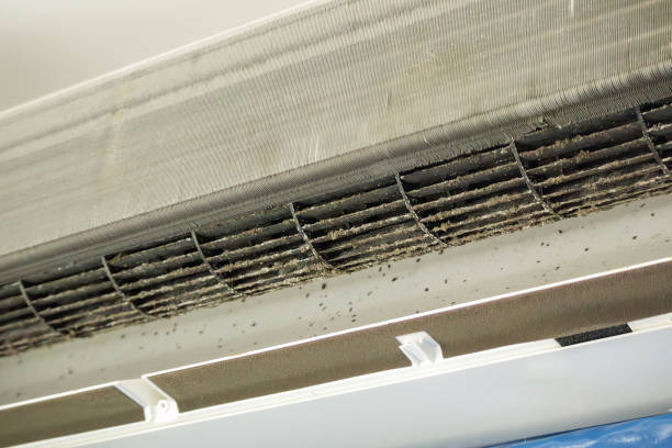 Best HVAC Air Duct Cleaning  in Camp Point, IL