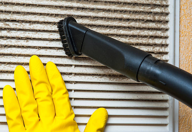 Best Professional Duct Cleaning Services  in Camp Point, IL